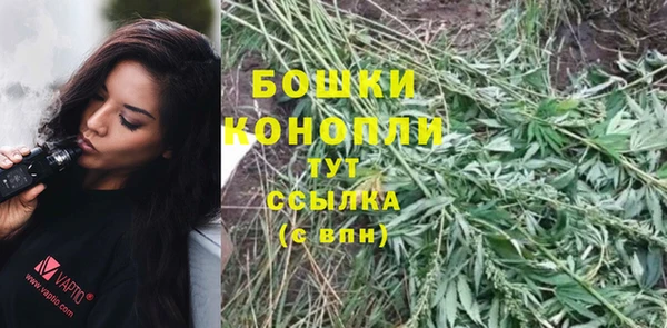 ALPHA PVP Надым