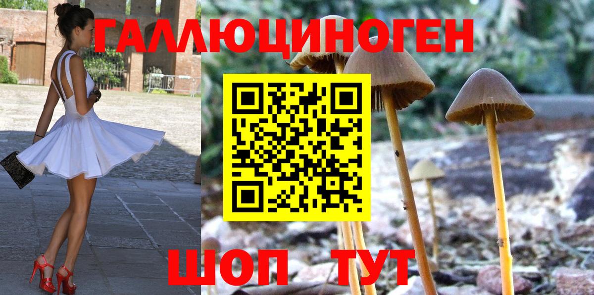 Галлюциногенные грибы ЛСД  Белореченск 