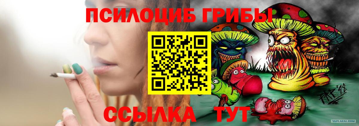 Галлюциногенные грибы Cubensis Белореченск